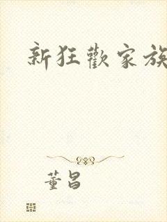 新狂欢家族小说