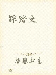 踩踏文封面
