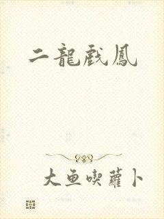 二龙戏凤