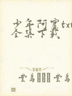少年阿宾txt全集下载