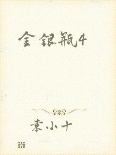 金银瓶4