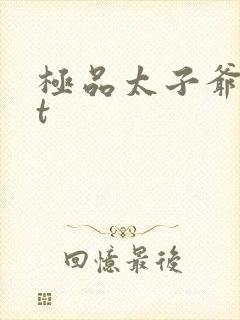 极品太子爷txt