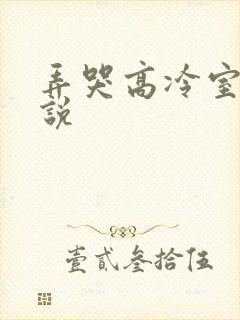 弄哭高冷室友小说