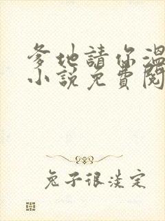 爹地请你温柔点小说免费阅读