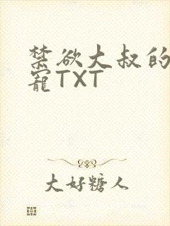 禁欲大叔的心尖宠TXT封面