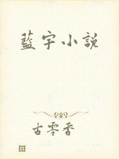 蓝宇小说