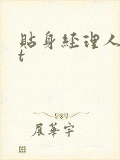贴身经理人txt