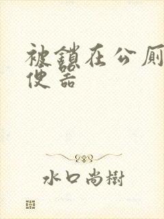 被锁在公厕当坐便器