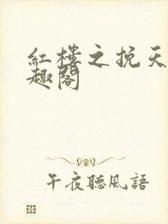 红楼之挽天倾笔趣阁