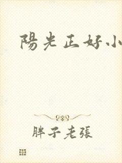 阳光正好小说