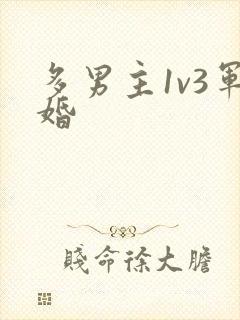 多男主1v3军婚