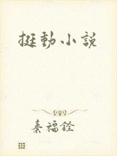 挺动小说封面