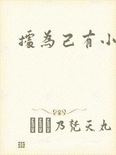 据为己有小说