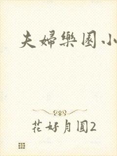 夫妇乐园小说