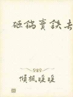 砸锅卖铁去上学封面