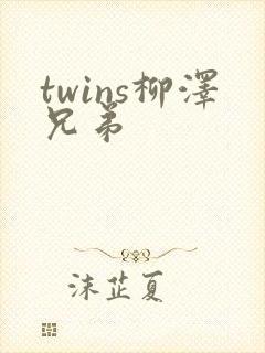 twins柳泽兄弟封面