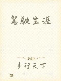 驾驶生涯
