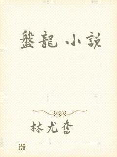 盘龙 小说封面