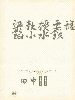 梁教授要稳住肉馅小水饺封面