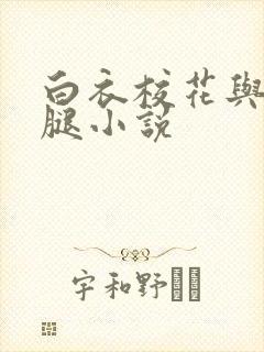 白衣校花与大长腿小说