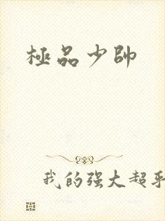 极品少帅封面