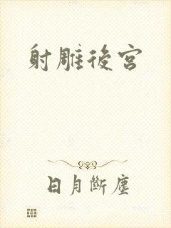 射雕后宫封面