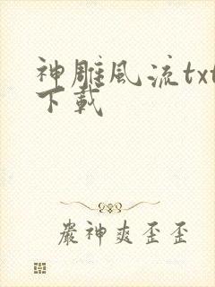 神雕风流txt下载