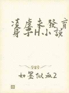 凌虐未发育的小身子H小说