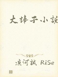 大棒子小说