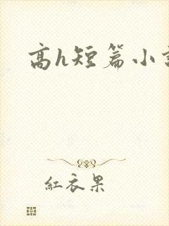 高h短篇小说封面