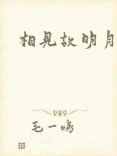 相见故明月