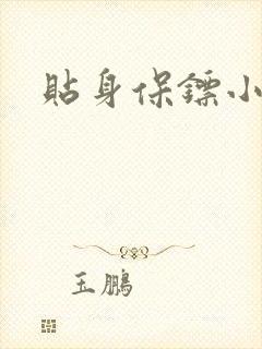 贴身保镖小说封面