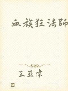 血族狂法师封面