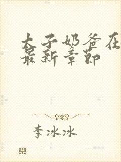 太子奶爸在花都最新章节封面