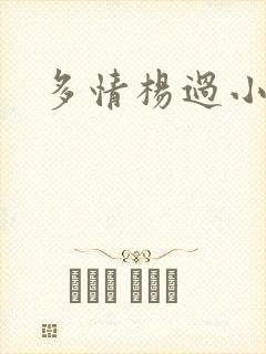 多情杨过小说