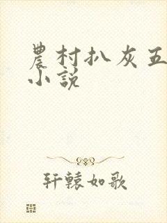 农村扒灰五十篇小说封面