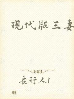 现代版三妻四妾封面