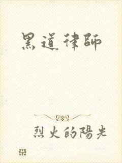 黑道律师封面