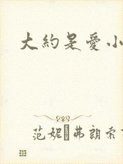 大约是爱小说