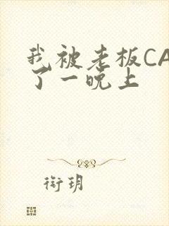 我被老板CAO了一晚上