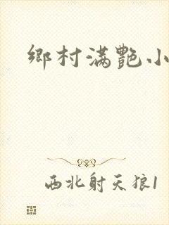 乡村满艳小说