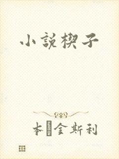 小说楔子