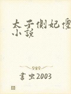 太子侧妃傻乎乎小说