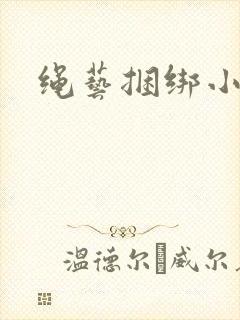 绳艺捆绑小说