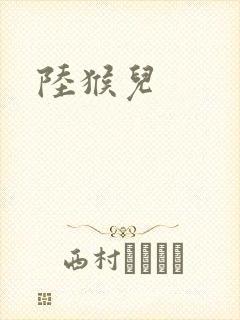 陆猴儿封面