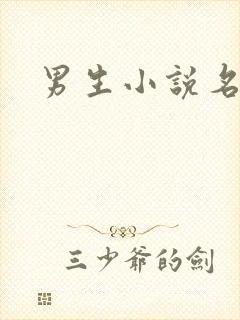 男生小说名字