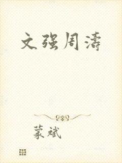 文强周涛封面