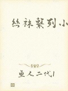 丝袜系列小说