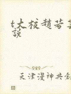t大校赵若芸小说封面