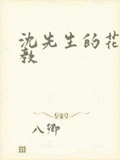 沈先生的花式调教